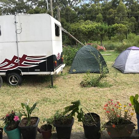 Camping Refugio Shakti II Florianópolis Exteriör bild